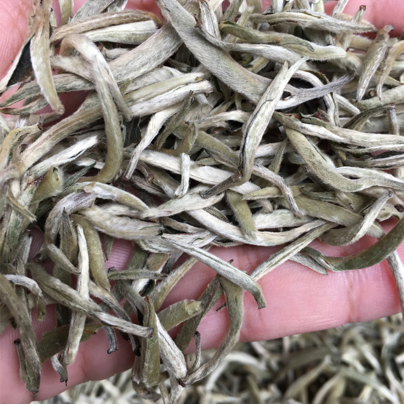 Premium Fuding White Tea