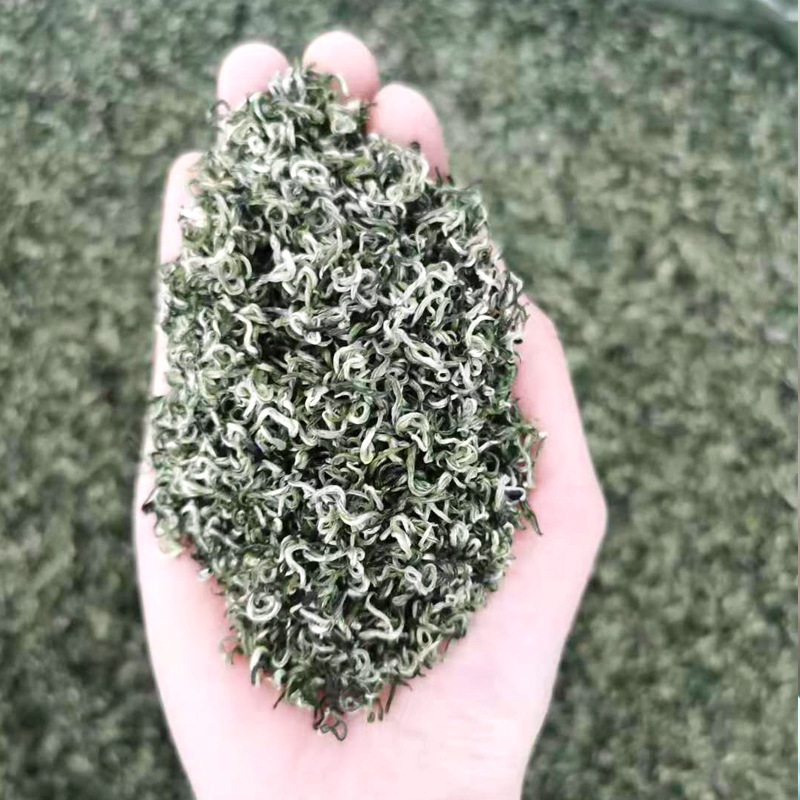 Premium Biluochun Green Tea